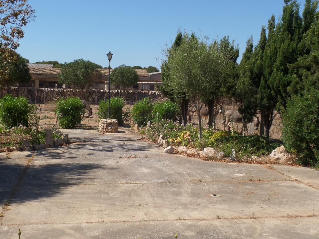 Sa Bassa Crua Agroturismo Sa Torre Екстериор снимка